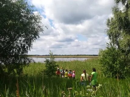 Шингак куль
