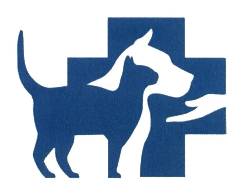 ветеринарная клиника снежинск. ветеринарный госпиталь саратов большая садовая 220. ветеринарная снежинск. сфти нияу мифи снежинск. ветеринарный техникум.