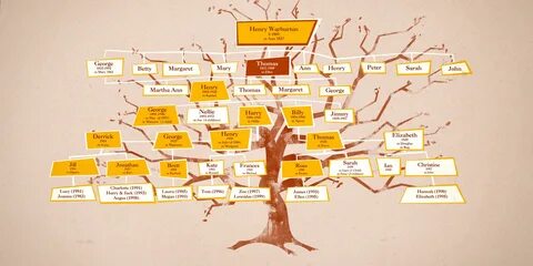 Look at bill s family tree