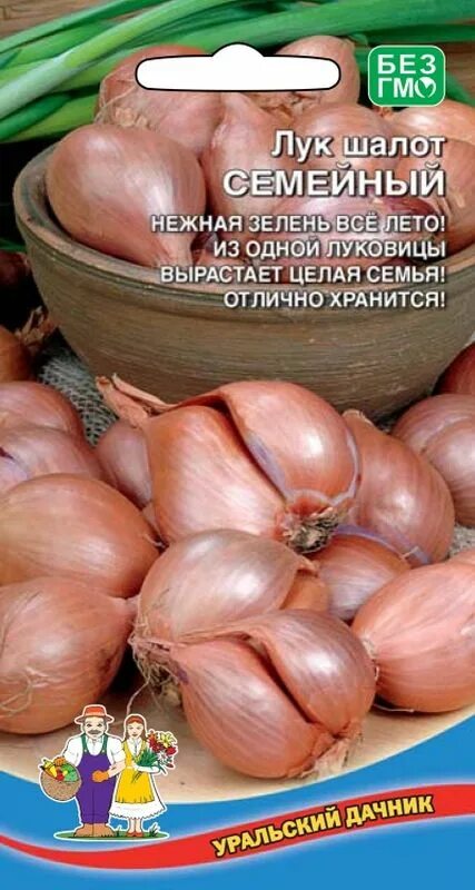 Лук Березовский Аристократ шалот - "Никакого севка . Только он! Крупно- Много пл