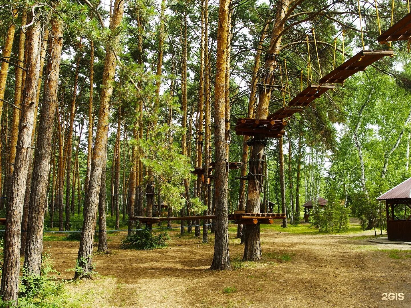 База отдыха сказка в чернолучье омск. Чернолучье сосновый бор. Чернолучье. Чернолучье. Чернолучье.
