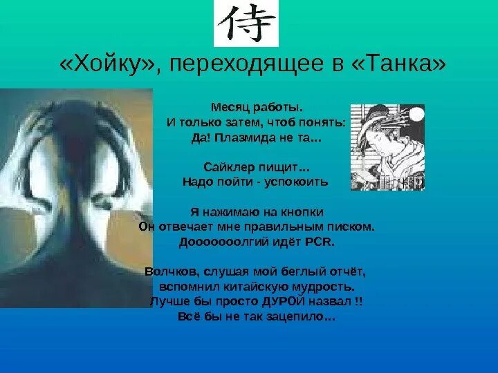 Затем чтоб было. Хойку. Рисунки к хойку презентация. Кто в хойку. Хойка стих.