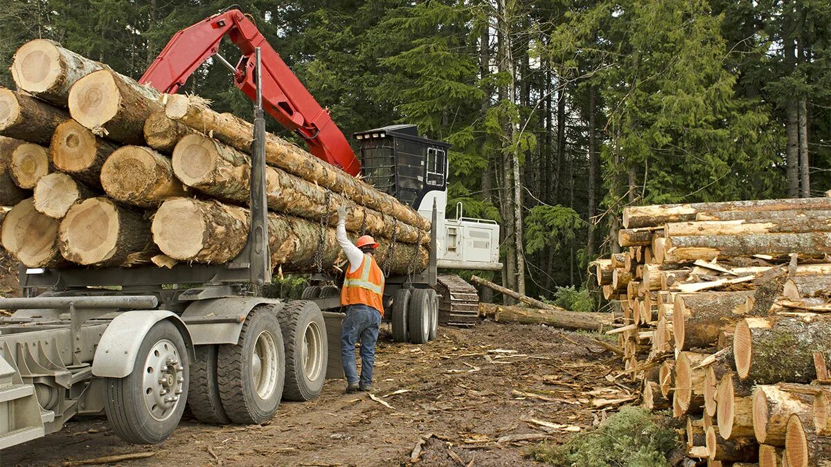 Problems logging
