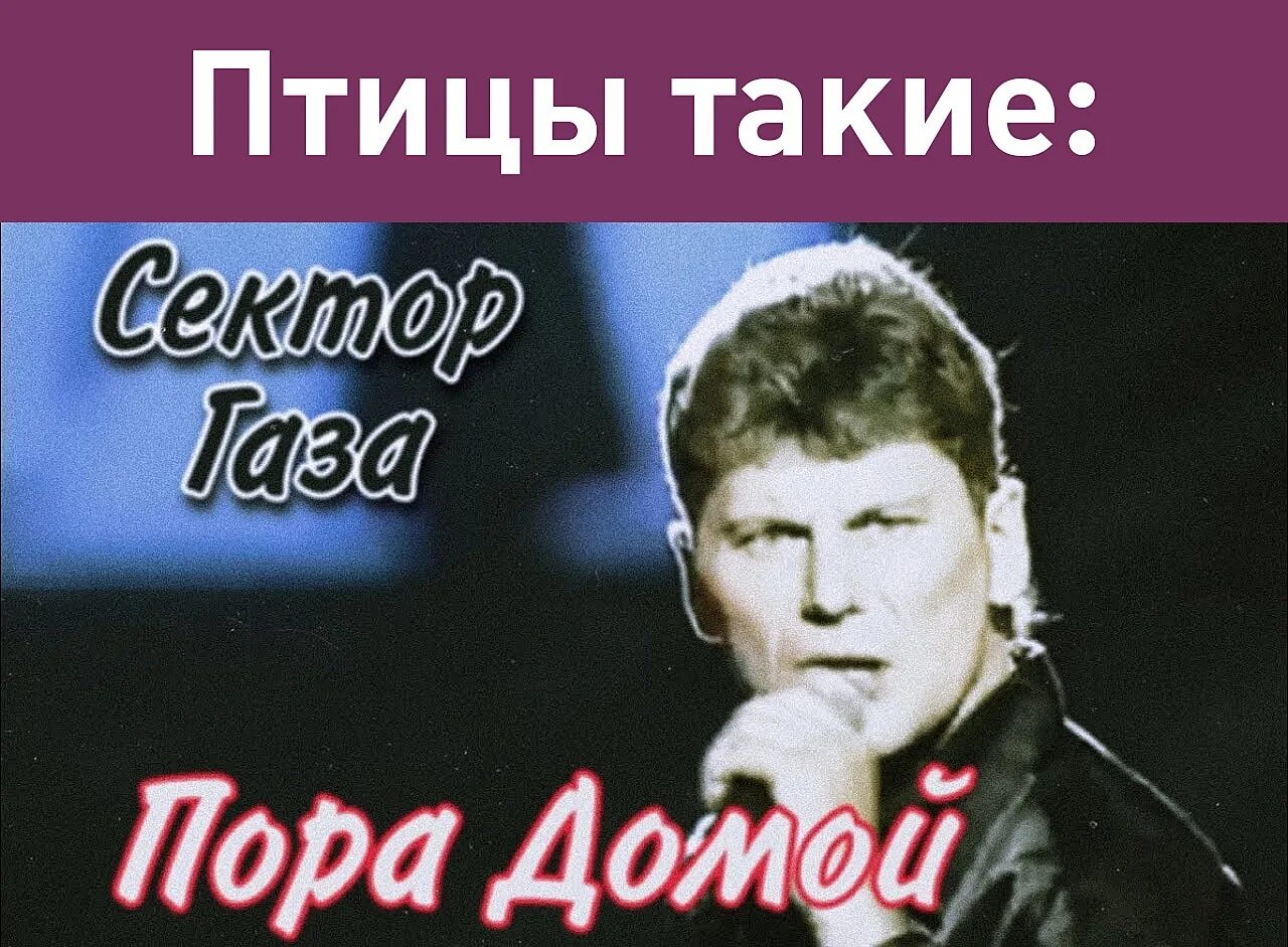 Слушать песню сектор газа пора домой. Сектор газа пора домой. Сектор газа сектор газа пора домой.