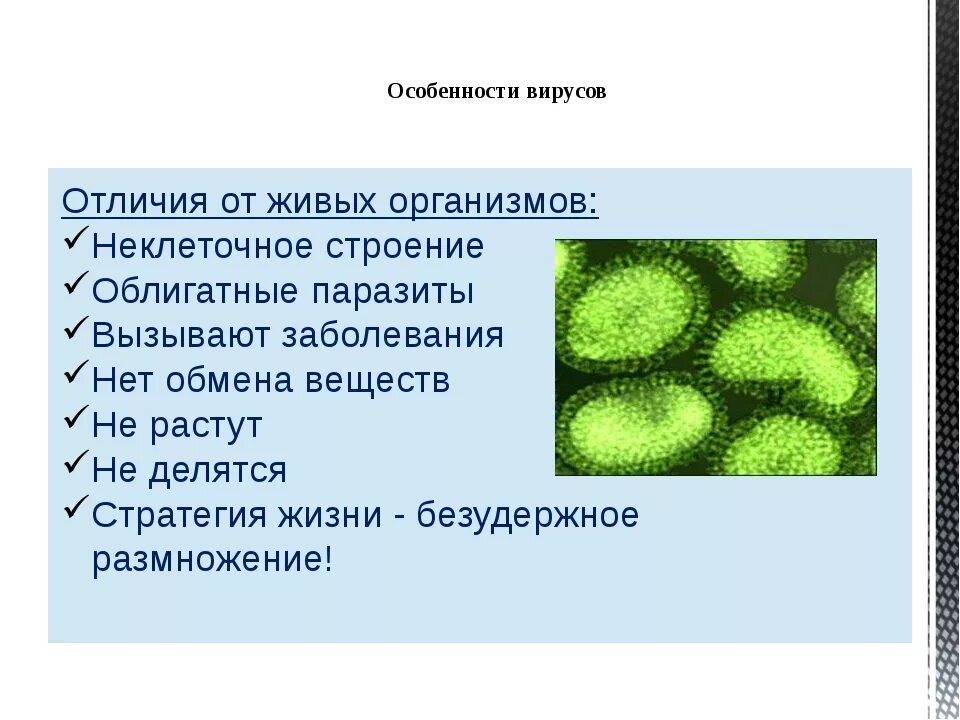 Представители вирусов биология. Формы микроорганизмов вирусы. Царство вирусов 5 класс биология. Строение вирусов и бактерий. Особенности строения вирусов и бактерий.