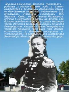 Кто такой муравьев амурский