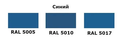 5005