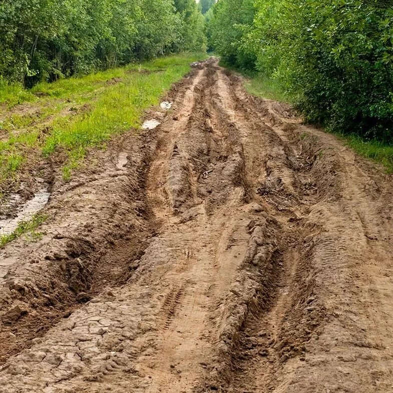 Дорога на шарой. Дорога к шару под Дубной. Дубна дорога. Дорога в Шарой. Дорога в Дубну красивые места.