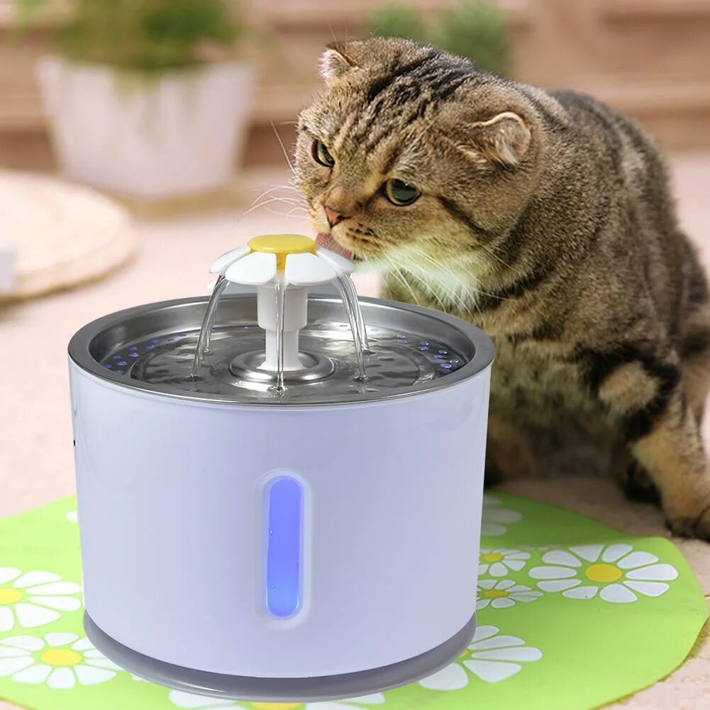 Поилка Pet Catit. Автоматическая поилка фонтанчик для кошек. Feed ex поилка. Поильник для кошек. Поилка фонтан для кошек купить