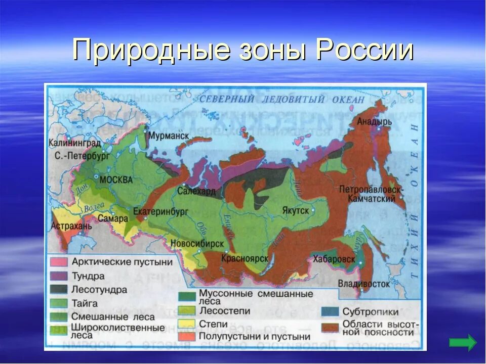 Природные зоны России на карте с названиями. Карта России с обозначением природных зон. Географическая карта России с природными зонами. Карта природных зон России 4. С какими природными зонами граничит тундра