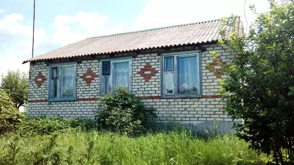 Речка екатериновка саратовская. Поселок прудовой саратовская область. Поселок екатериновка саратовская область. Река рыбушка саратовская область. Поселок прудовой саратовская область.