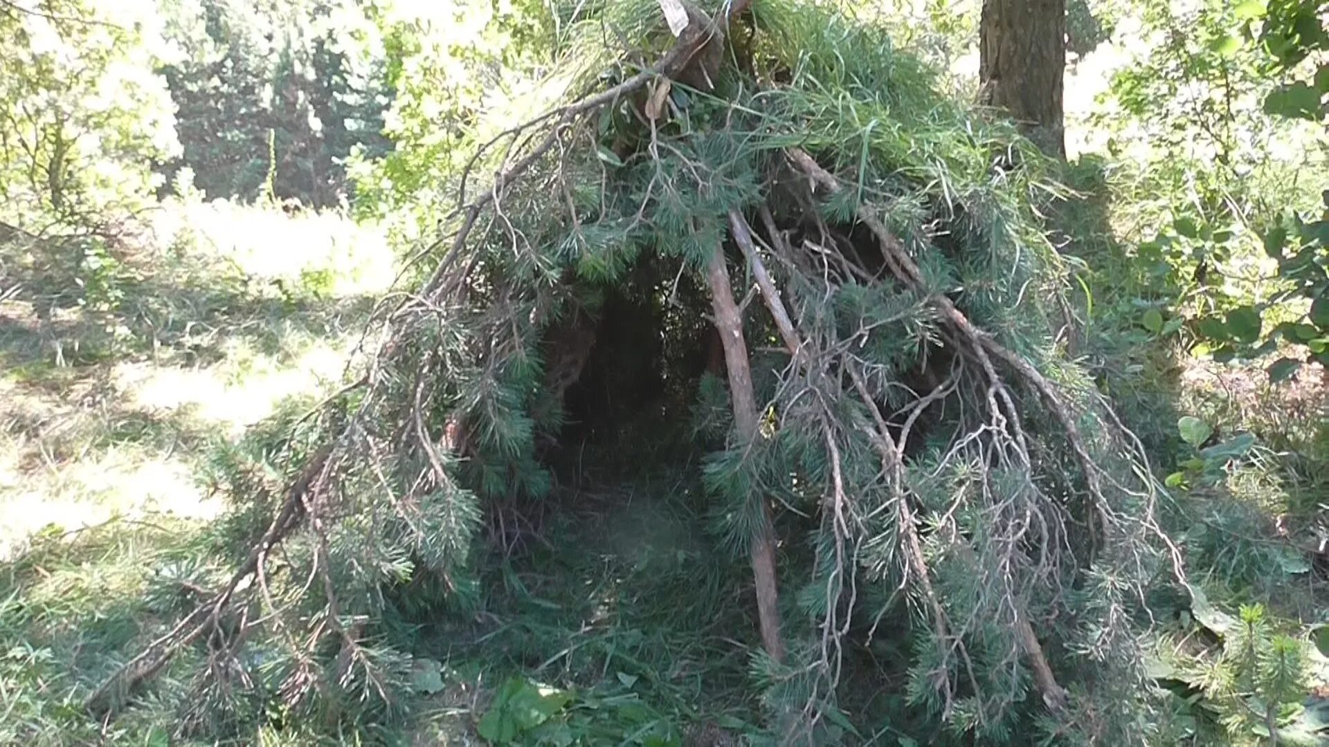 шалаш убежище в лесу. шалаш укрытие. как построить шалаш в лесу. шалаш из жердей и лапника. бушкрафт бивак.