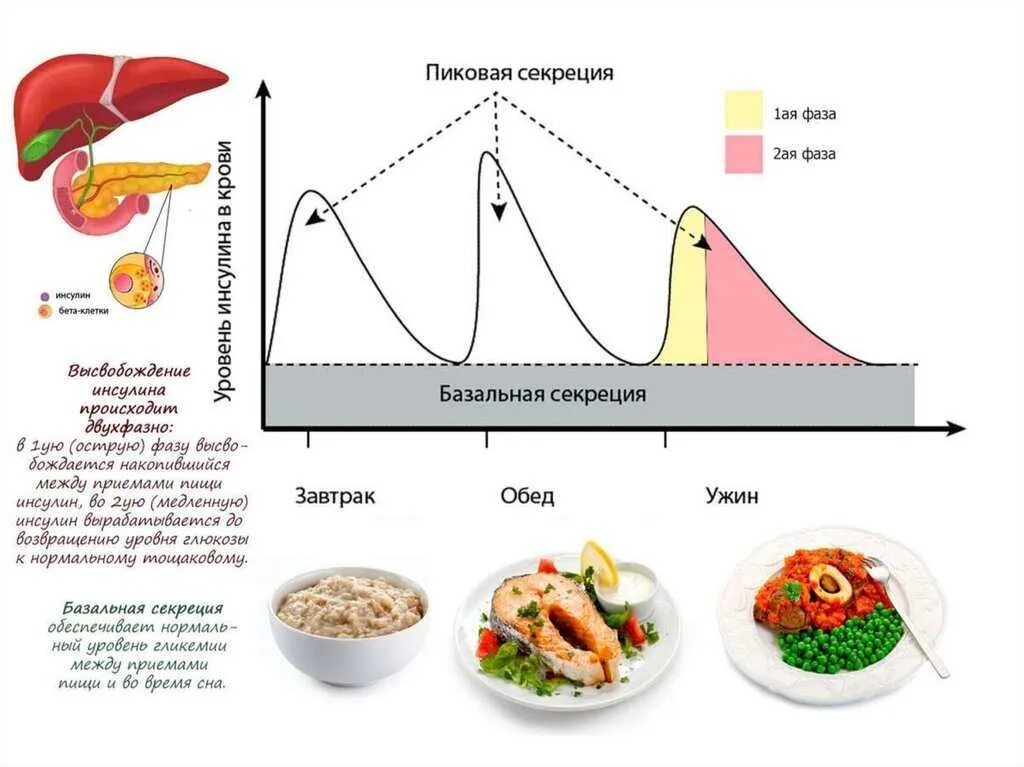 Уровня выработки инсулина. Схема выработки инсулина в организме человека. Скачок инсулина в крови. Схемы выброса инсулина. Инсулин после еды.