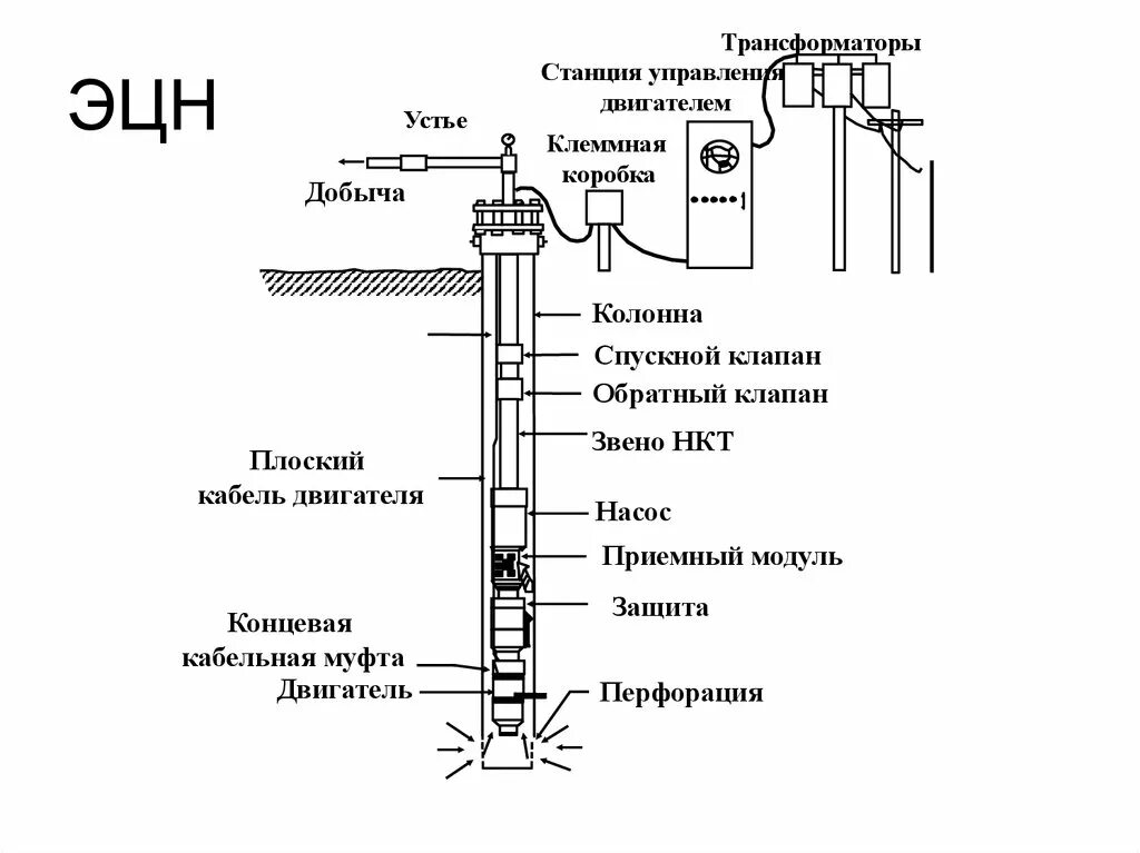 ЭЦН насос для нефтяной скважины чертеж. Конструкция скважины ЭЦН. Электроцентробежный насос схема. Конструкция УЭЦН схема электроцентробежного насоса.