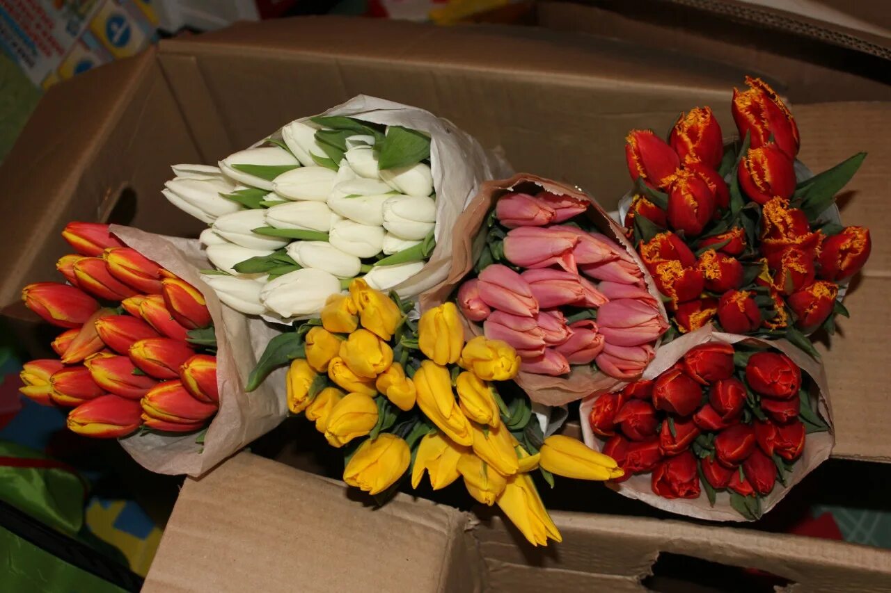 Сколько стоят тюльпаны в красноярске. Тюльпаны на складе. Продажа тюльпанов. Тюльпаны опт. Продам тюльпаны.