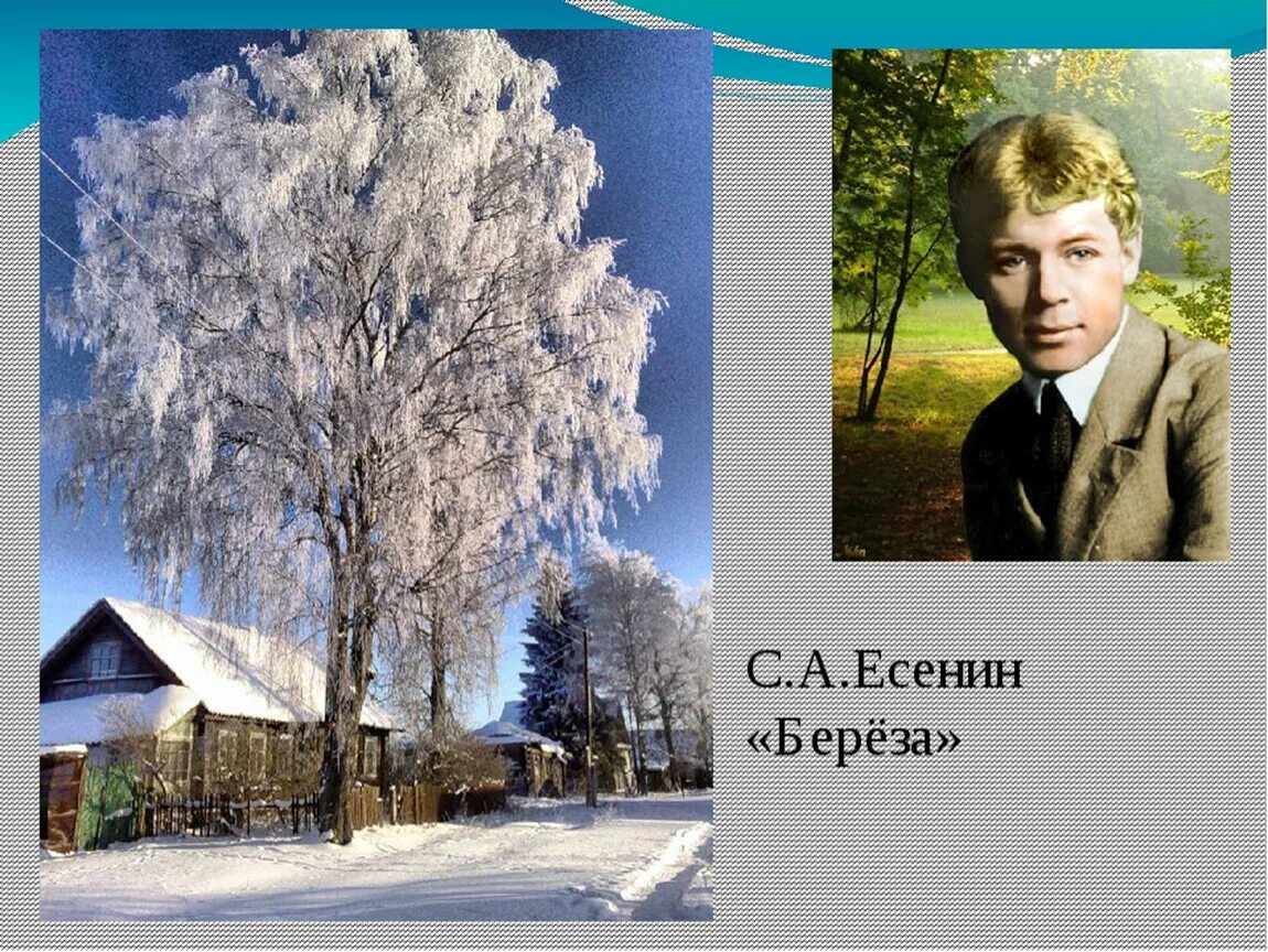 Стихотворение сергея александровича есенина. Есенин личность. 5. Есенин песня бел. Есенин песня бел.