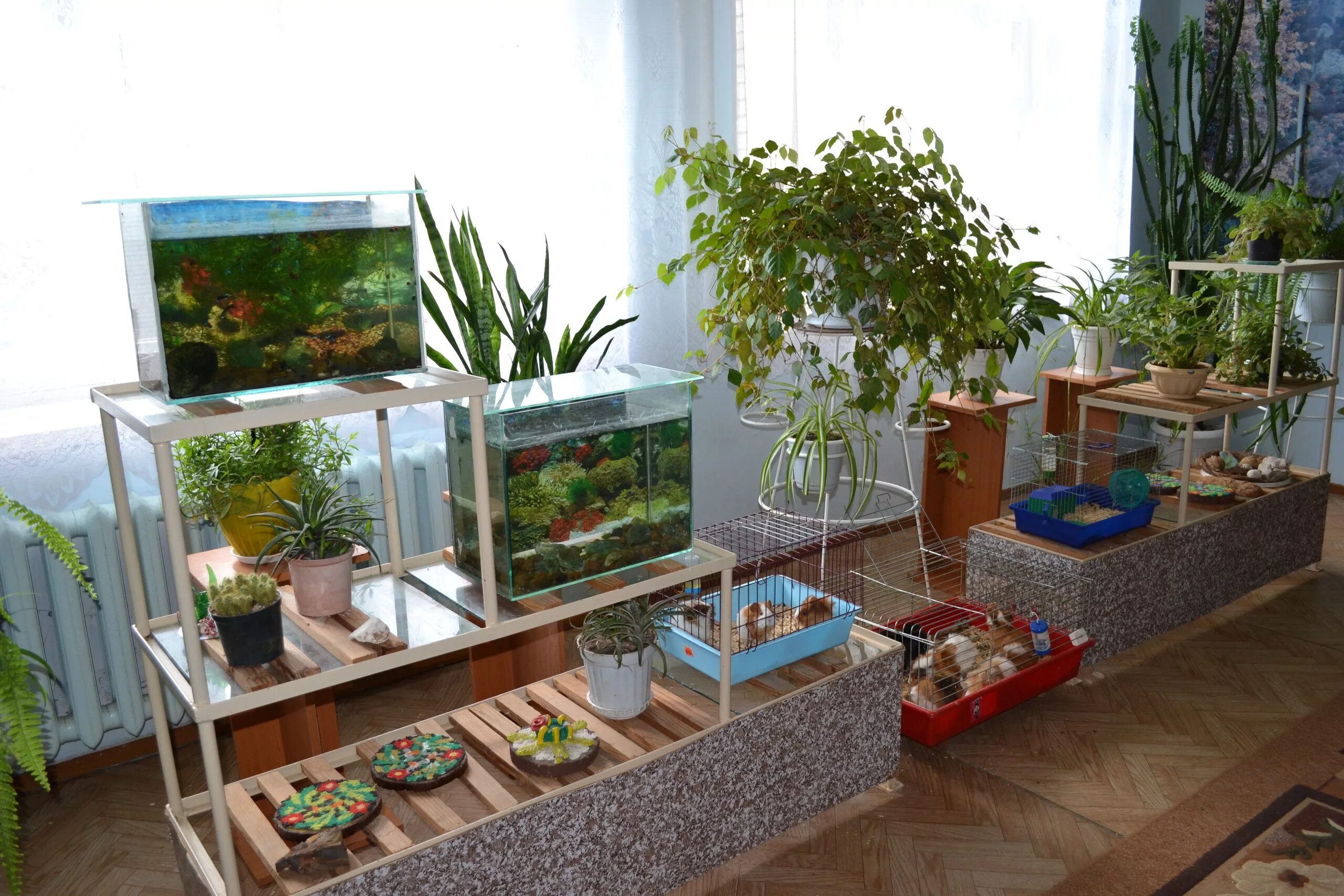 в одном аквариуме 9 рыбок а в. рабочая тетрадь по математике 2 класс 2 часть. запись задач. аквариум домашний с рыбками. в школьном уголке 3 аквариума.