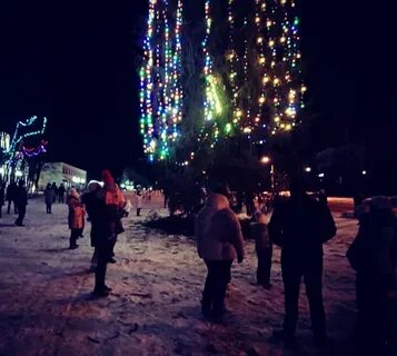 Новогодние березники