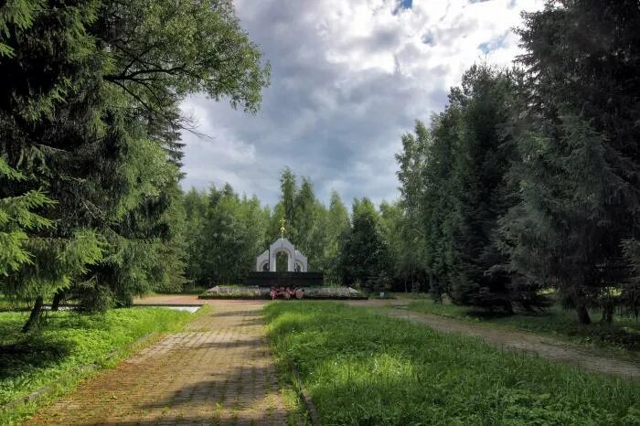 Новоселицы новгородская область