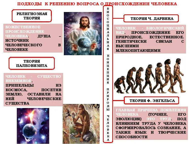 Становление человеческого в человеке. Происхождение человека. Теории происхождения человека. Три версии происхождения человека. Биологическое и социальное в человеке.