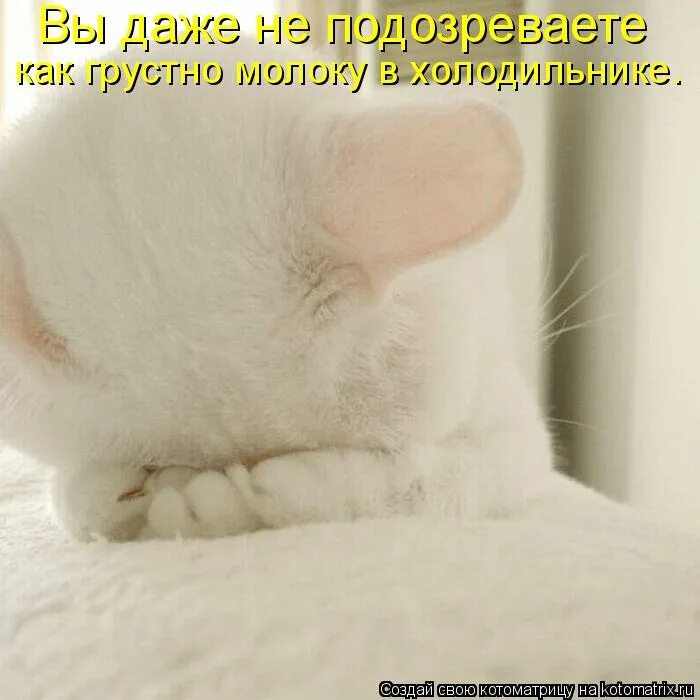 А то мне как то грустно. Как грустно. как то грустно. молоко грустно.