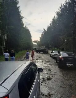 Омской муромцево новости