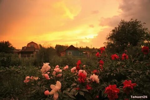 Закат в июне