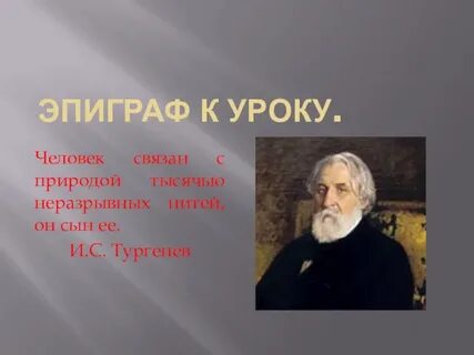 Тургенев природа