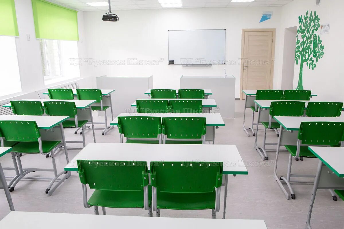 кабинет физики точка роста 2021. точка роста в школе биология. дерево с совой точка роста для кабинета биологии. мастер класс по биологии точка роста. точка роста в школе.