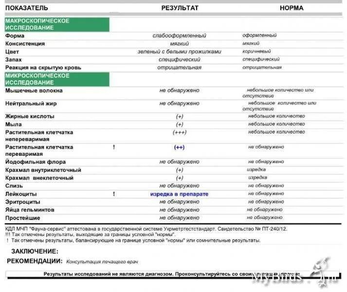 Норма анализа кала копрограмма. Копрограмма норма заключение. микроскопия кала копрограмма норма.