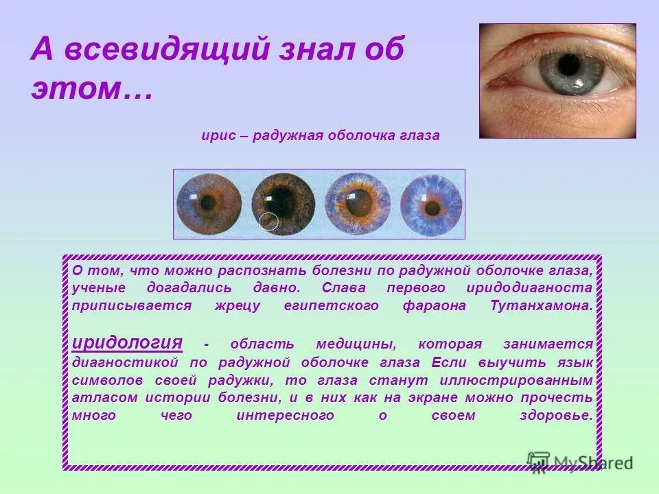 Радужную оболочку глаз как персональные данные. Определение здоровья по глазам. распознавание болезни по глазам. диагноз по глазам человека. определить здоровье по глаз.