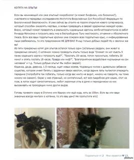 Рассказ отдам