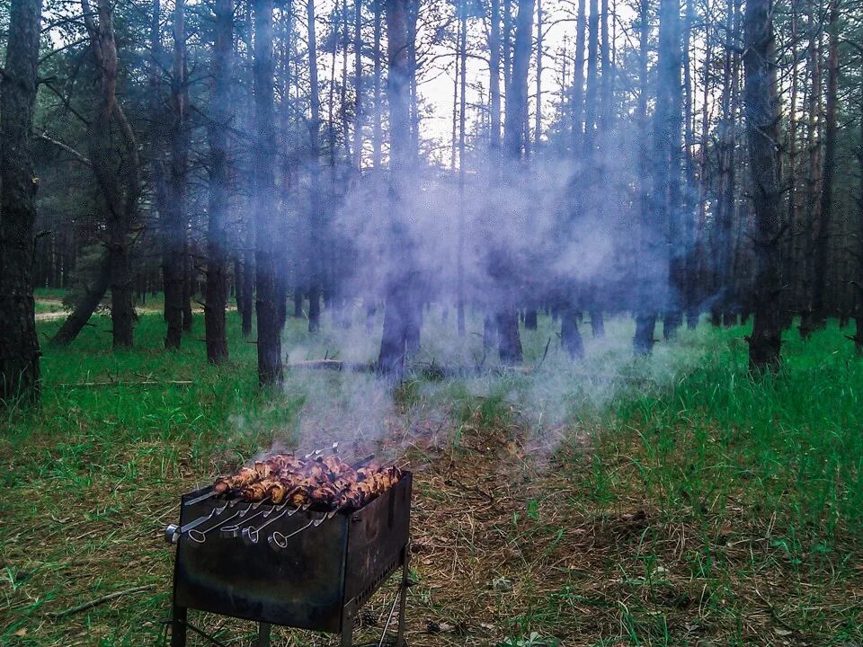 Шашлыки на природе. Мангал на природе. Мангал в лесу. Шашлык на мангале в лесу. Можно ли жарить шашлык в лесу