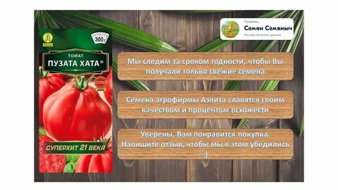 Томат пузата хата схема посадки