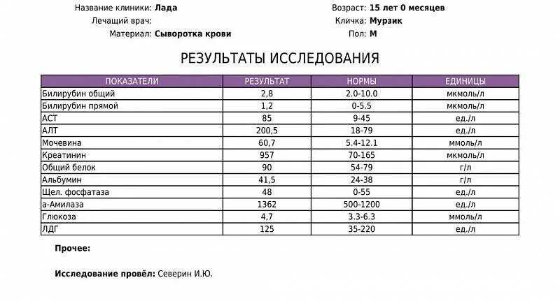 Сдать кровь на печень. Показатели в норме алт АСТ билирубин. Биохимическое исследование крови билирубин норма. Показатели печени алт и АСТ норма у мужчин. Анализ крови билирубин алт АСТ.