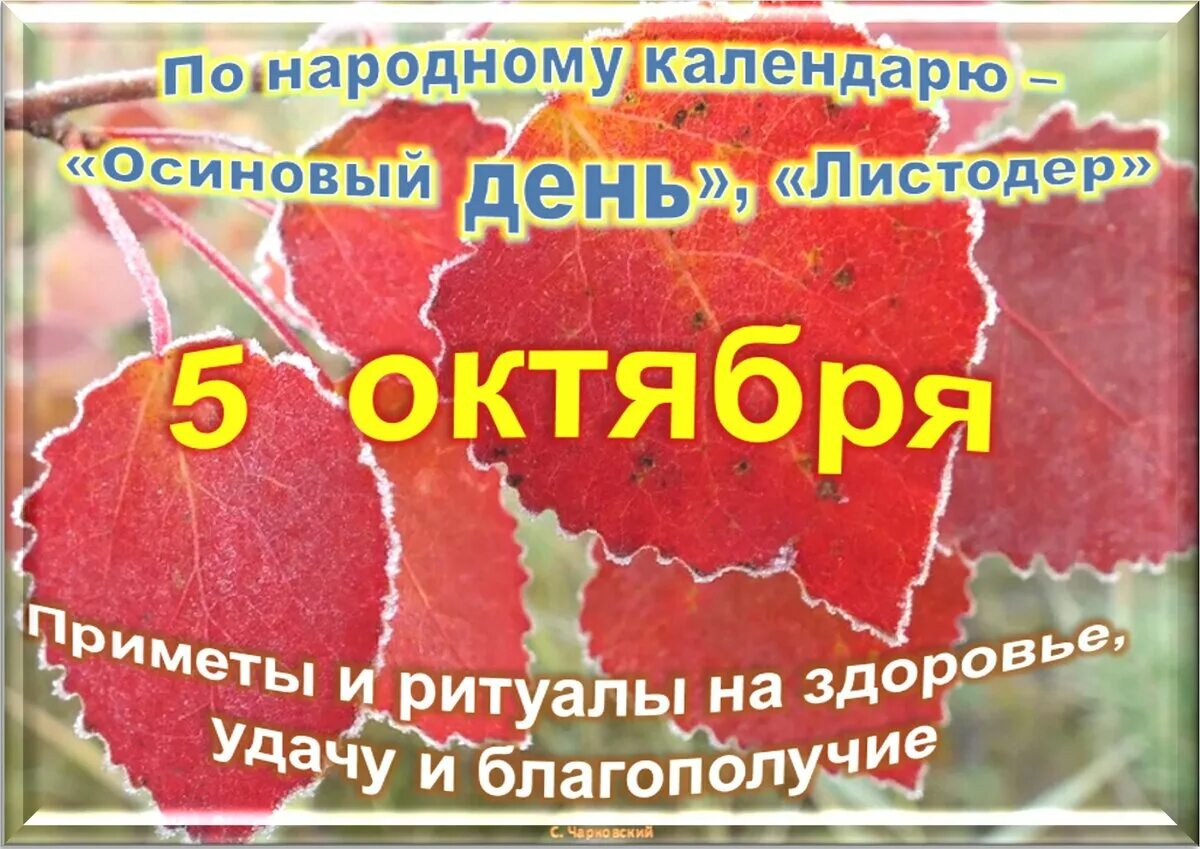 5 октября какое событие. Приметы октября. Праздники в октябре. 7 Октября праздник. Солнечный день в октябре.