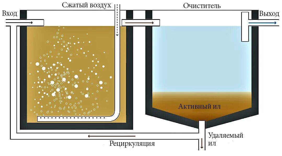 Активный ил для очистки сточных вод. Биореактор для очистки почвы. Мембраны для очистных сооружений. Ил очистных сооружений. Очистка вод илом