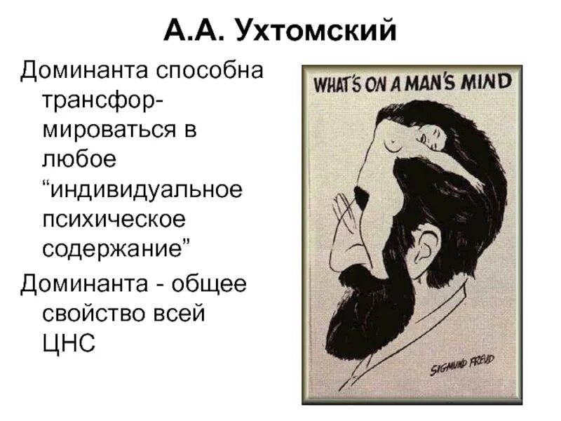 Доминанта в психологии. Явление Доминанты. Эффект Доминанты. Учение о доминанте Ухтомского.