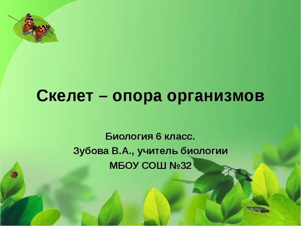 Неделя биологии 6 класс. Приспособительные формы организмов. Урок окружающий мир.