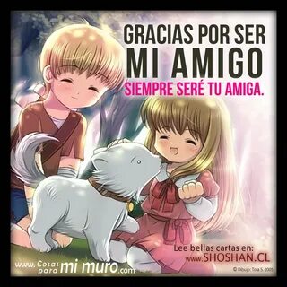 Amigo ser