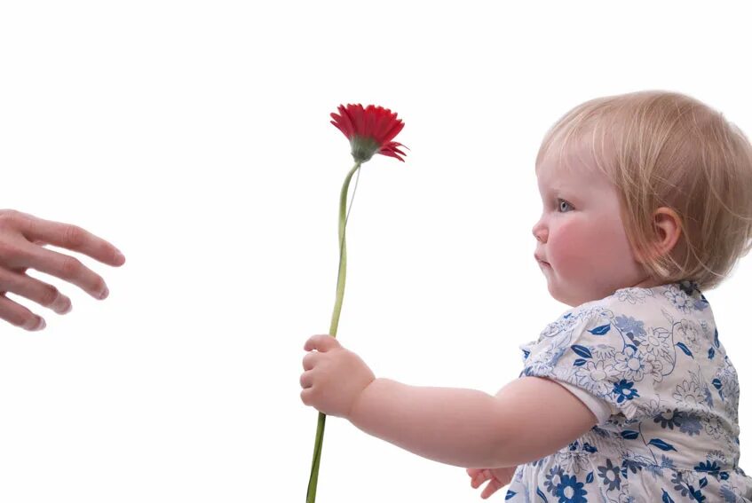 Ребенок дарит цветок маме. Малыш дарит цветы. Дети дарят цветы. Малыш протягивает цветы. Ребенок дарит цветы маме.