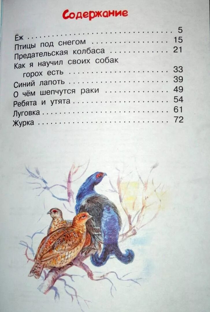 Двойной след пришвин сколько страниц. Ребята и утята сколько страниц. Рассказ двойной след пришвин. Пришвин ребята и утята сколько страниц.