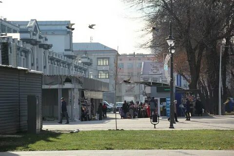 Рынки вернулись