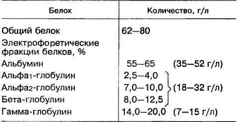 Белок гамма