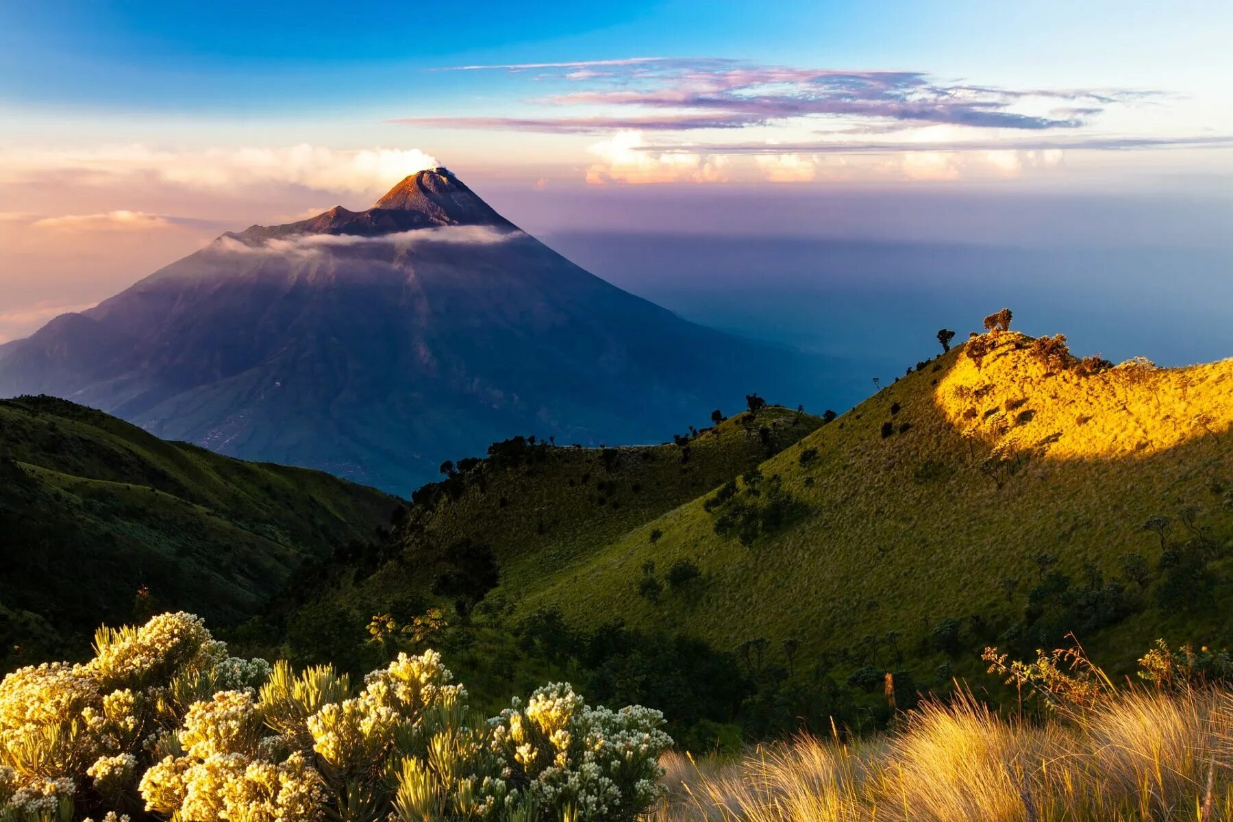 Java island