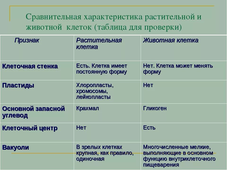 Наличие какого органоида отличает клетки животных