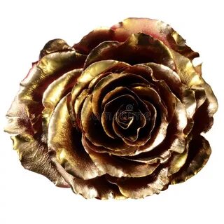 Rose covered
