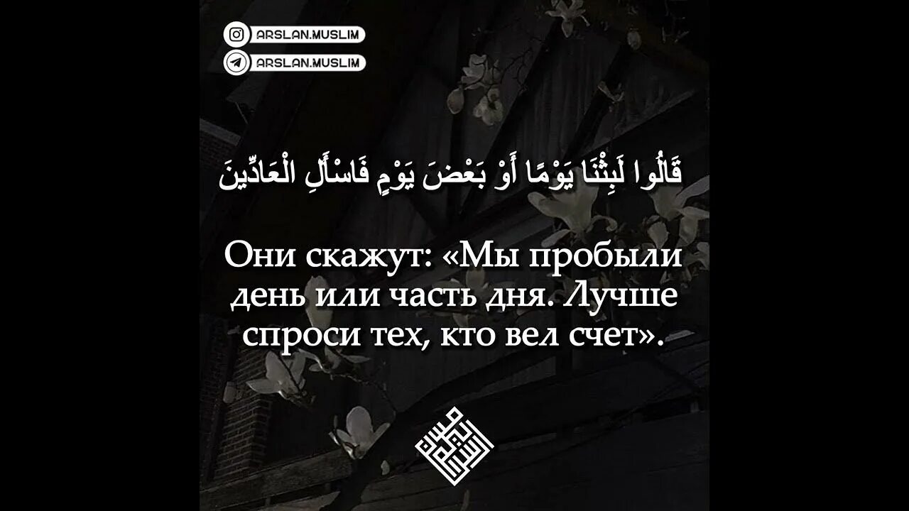 Сура Аль Муминун аят 115 116. Сура 23 аят 115. 115–118 Аяты Суры Аль-Муминун. Сура верующие аят 115.