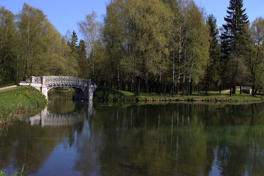 Гатчинский район поселок