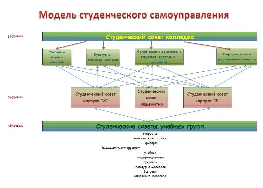 Структура самоуправления в колледже. Структура студенческого самоуправления в вузе. Схема студенческого самоуправления в колледже. Студенческое самоуправление в колледже.